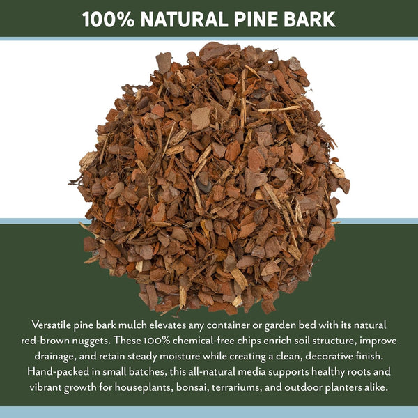 100% Natural Pine Bark Mulch Nuggets (8 Quarts), Small Mulch Chips for Indoor/Outdoor Container Gardening, Ideal for Soil Supplement, Houseplant