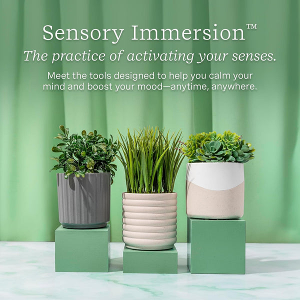 Lifelines Plant Diffuser with Essential Oil Blend - Modern Planter, Succulent - Rechargeable Aromatherapy Diffuser, Artificial Faux Plants Home &