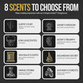 The Beard Struggle - Day Liquid Tonic Beard Oil - Silver Collection (Alfheim'S Forests) - Beard Oil for Men - Moisturize, Softens Hair, Reduces