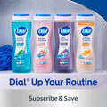 Dial Body Wash, Refresh & Renew Spring Water, 32 fl oz Spring Water 32 Fl Oz (Pack of 1)