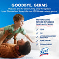 Lysol Disinfectant Spray, Sanitizing and Antibacterial Spray, for Disinfecting and Deodorizing, Early Morning Breeze, 1 Count, 19 Fl Oz Each