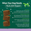 PetNC Natural Care Hip and Joint Soft Chews for Dogs, 90 Count - 27591 90 Count (Pack of 1) All Dogs