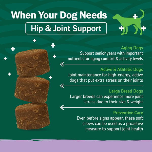 PetNC Natural Care Hip and Joint Soft Chews for Dogs, 90 Count - 27591 90 Count (Pack of 1) All Dogs
