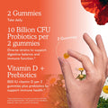 Garden of Life Probiotics, Orange Dream, 10 Billion, 60 Gummies 60 Count (Pack of 1)