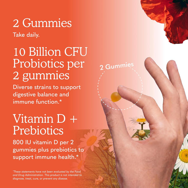 Garden of Life Probiotics, Orange Dream, 10 Billion, 60 Gummies 60 Count (Pack of 1)