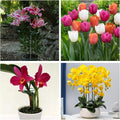 12 Pack 16 Inch Metal Plant Support Stakes for Outdoor Plants and Flowers | Plant Support Sticks, Includes 24 Twist Ties, For Peony, Amaryllis,