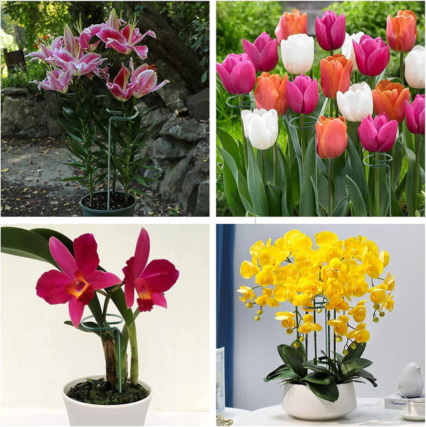 12 Pack 16 Inch Metal Plant Support Stakes for Outdoor Plants and Flowers | Plant Support Sticks, Includes 24 Twist Ties, For Peony, Amaryllis,
