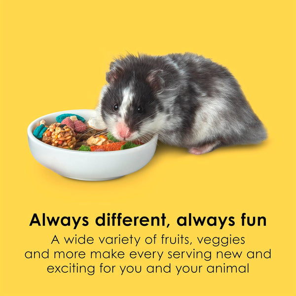 Kaytee Fiesta Hamster & Gerbil Food, Nutritious and Fun Blend, Supports Dental Health and Digestion, 2.5 pounds 2.5 Pound (Pack of 1)