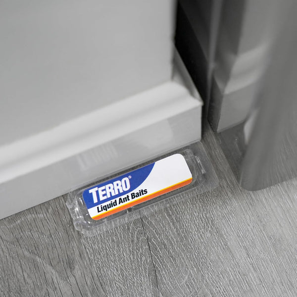 TERRO Ant Killer Bait Stations T300B - Liquid Bait to Eliminate Ants - 12 Count Stations for Effective Indoor Ant Control