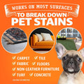 Angry Orange Stain Remover - 32oz Enzyme Pet Cleaner - Dog & Cat Urine Destroyer and Stain Remover - Citrus Spray Cleaning Solution - Puppy