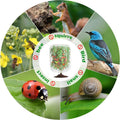 Garden Mesh Netting with Drawstring,Plants Cover Protection from anti Birds,Bugs,Cicadas,And Insects-Pest Barrier Bag for Blueberry