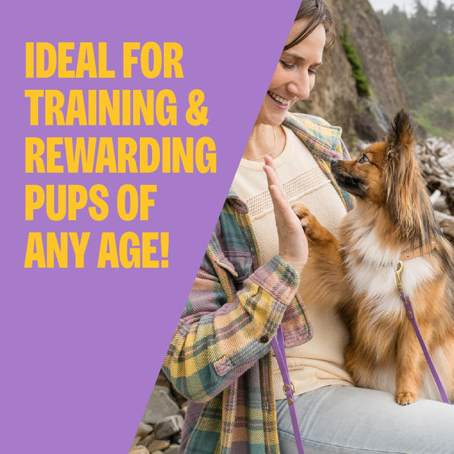 Wellness Puppy Treats, Natural, Training Treat, Grain Free, Soft Lamb & Salmon (
