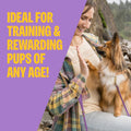 Wellness Soft Puppy Bites Dog Training Treats, Natural, Grain Free, Lamb and Salmon Recipe, 8 oz Bag Lamb & Salmon 8 Ounce (Pack of 1)