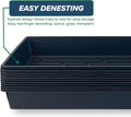 10 Plant Growing Trays (No Drain Holes) - 20" x 10" - Perfect Garden Seed Starter Grow Trays: for Seedlings, Indoor Gardening, Growing