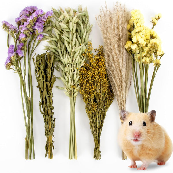 Sukh Herb Bedding Habitat Decor - Natural Flower Hamster Mate Herbs Sprays Cage Safe Pet Accessories Decorations Hideout for Hamsters Mouse Guinea