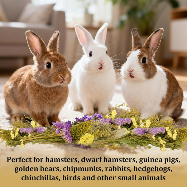 Sukh Herb Bedding Habitat Decor - Natural Flower Hamster Mate Herbs Sprays Cage Safe Pet Accessories Decorations Hideout for Hamsters Mouse Guinea
