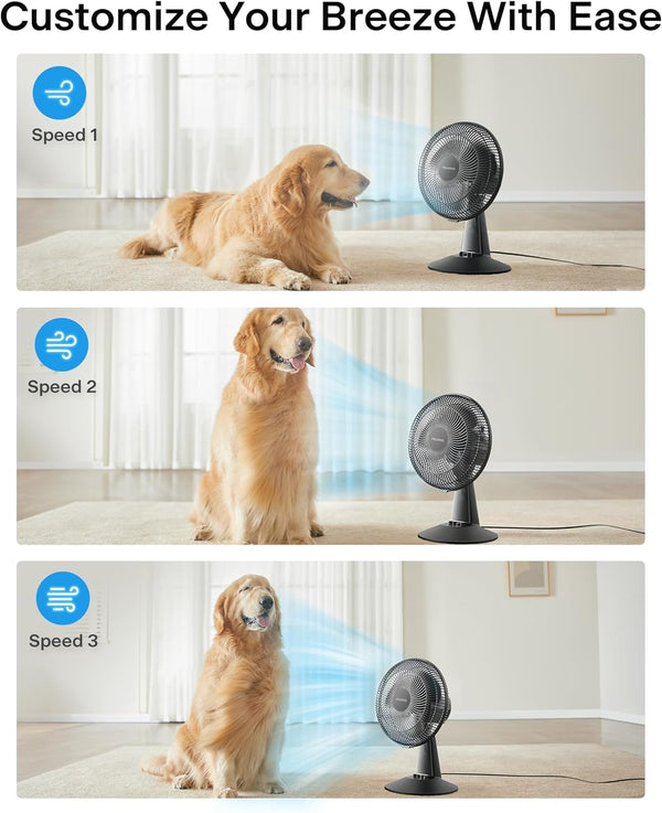 PELONIS Table Fan 12-Inch, 120° Oscillating Table Fan Small Portable Electric Plug-In Desk Fan with 3-Speeds, 126° Adjustable Tilt Head for