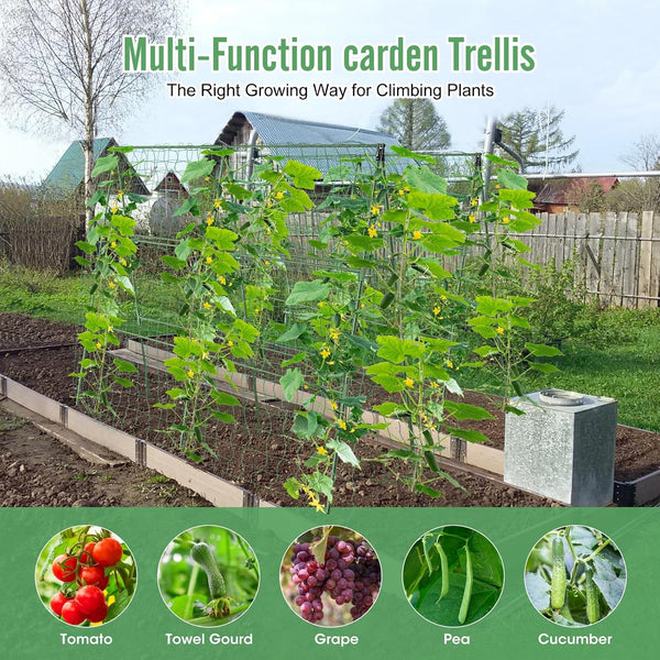 55" H x 36" W Cucumber Trellis for Raised Bed Garden, Cucumber Trelli for Climbing Plants Outdoor，A-Frame Vegetable Grow Supports, Tomato Plant