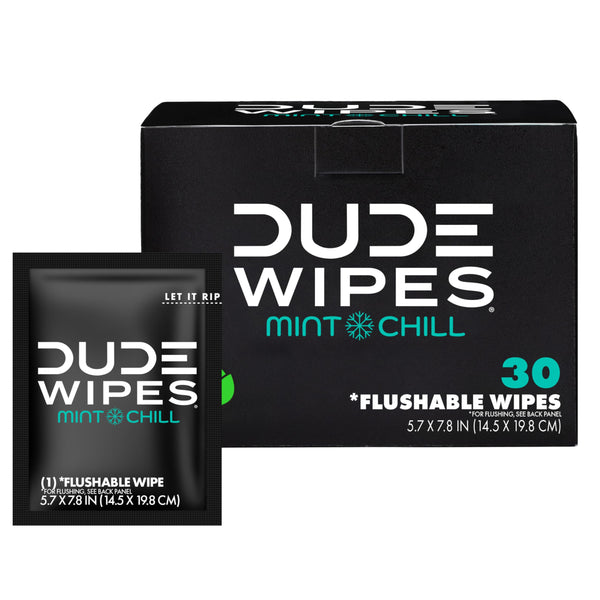 DUDE Wipes - On-The-Go Flushable Wipes - 1 Pack, 30 Wipes - Mint Chill Extra-Large Individually Wrapped Adult Wet Wipes - Eucalyptus & Tea Tree