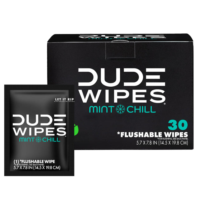 DUDE Wipes - On-The-Go Flushable Wipes - 1 Pack, 30 Wipes - Mint Chill Extra-Lar