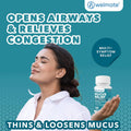 WELMATE Guaifenesin 1200 mg Mucus Relief, Maximum Strength, 100 Count | Extended-Release Expectorant Tablets, 12 Hour Chest Congestion Relief,