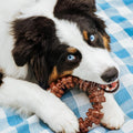 Nylabone Power Chew Textured Ring Dog Chew Toy, Flavor Medley, X-Large | Durable dog toys, long lasting, discourages destructive chewing,