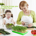 EBaokuup 5 Pcs Seed Sprouter Tray with Drain Holes - BPA Free Seed Germination Propagation Trays, Soil-Free Wheatgrass Bean Sprouts Microgreens