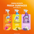 Lysol All Purpose Cleaner Spray, Disinfectant, Mango, 32oz Mango and Hibiscus 32 Fl Oz (Pack of 1)
