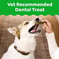 Greenies Original Petite Natural Dental Care Dog Treats, 6 Oz. Pouch (10 Treats)