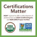 NOW Foods, Organic Pumpkin Seeds, Raw and Unsalted, Excellent Source of Protein and Iron, Certified Non-GMO, Keto-Friendly Snack, 12-Ounce