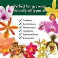 Better-Gro Special Orchid Mix - Premium Grade Orchid Bark Potting Mix for Potting, Repotting, Enhanced Drainage, Air Flow & Root Ventilation,