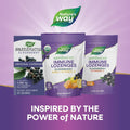 Nature's Way Sambucus Zinc Lozenges With Elderberry and Vitamin C, Honey Lemon Flavor, 24 Lozenges (3 Pack) 24 Count (Pack of 3)