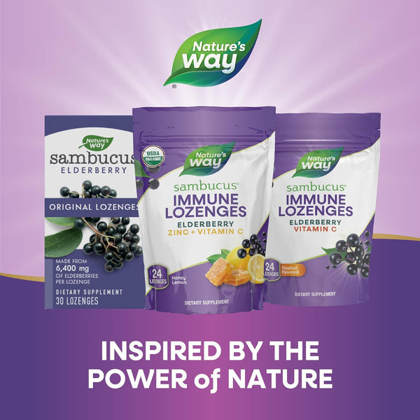 Nature's Way Sambucus Zinc Lozenges With Elderberry and Vitamin C, Honey Lemon Flavor, 24 Lozenges (3 Pack) 24 Count (Pack of 3)