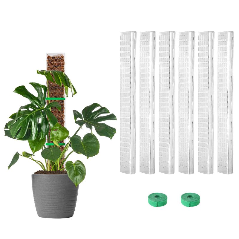 EOX Plastic Moss Pole for Monstera and Climbing Plants, 24-Inch, 6-Pack | Clear D-Shaped Design, Fold-to-Assemble, Sphagnum Moss Not Included,