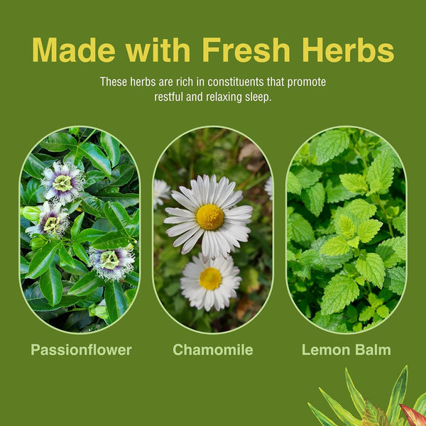 Herbs Etc. Deep Sleep Classic Liquid Extract - Herbal Supplement for Natural & Gentle Sleep Support - Restful Sleep Supplement with Passionflower,