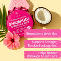 Viori Coconut Moisturizing & Repair Shampoo Bar - Dry Damaged Hair Coconut 3.1 Ounce (Pack of 1)