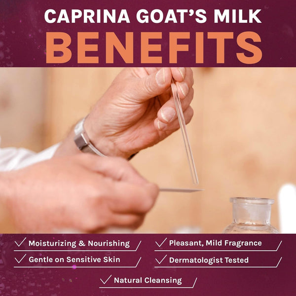 Caprina by Canus Goat Milk Soap Bar, ORIGINAL, 3.2 oz (90 g) Bars, 6-Pack, Moisturizing Daily Cleanser for Face, Hands & Body, Fresh Canadian Goat