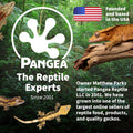 Pangea Small 0.5oz Paper Gecko Food & Water Cups, 100 ct.