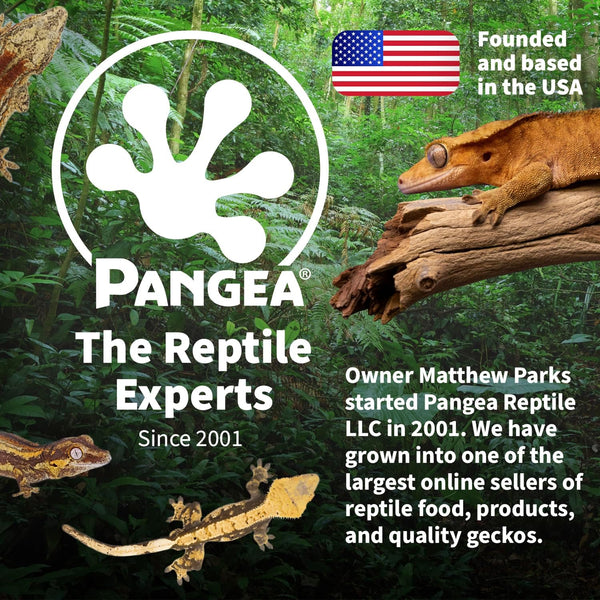 Pangea Small 0.5oz Paper Gecko Food & Water Cups, 100 ct.