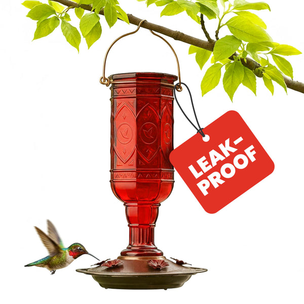 More Birds Red Jewel Hummingbird Feeder, Glass Bottle, 5 Feeding Ports and 20-Ounce Nectar Capacity (76IN) 23 oz Nectar Capacity Red