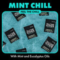 DUDE Wipes - On-The-Go Flushable Wipes - 1 Pack, 30 Wipes - Mint Chill Extra-Large Individually Wrapped Adult Wet Wipes - Eucalyptus & Tea Tree