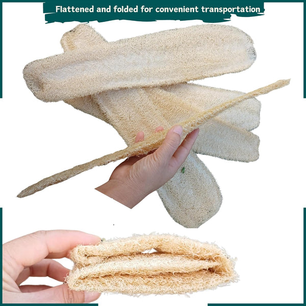 10 Pcs (5 – 7 Inches) Shower Loofah Exfoliating Body Scrubber | Natural Loofah Sponge | Bath for Loofah for Men and Women | Pack of 10 1 Count
