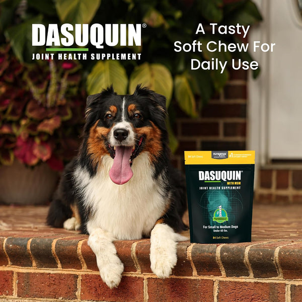 Nutramax Dasuquin MSM Joint Supplement, Small/Med Dogs, Soft Chews, 84ct | Glucosamine and Chondroitin, ASU & MSM, Dog Joint Support, For Dogs