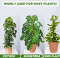 EcoNour 2 Pack Moss Poles for Plants – 28" Monstera Plant Support Stakes, Coir Plant Sticks for Indoor Climbing Plants, Pothos, Philodendron &