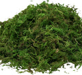 Generic Usmola Fake Moss, Artificial Green Moss for Potted Plants Fairy Garden Accessories, 4OZ (Fresh Green) 4 OZ