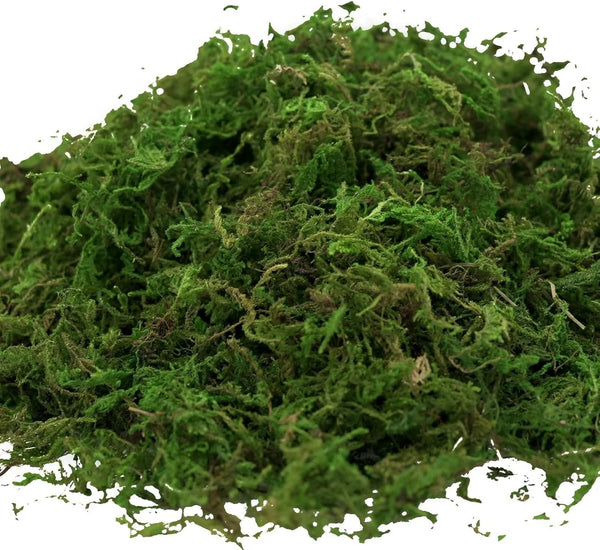 Generic Usmola Fake Moss, Artificial Green Moss for Potted Plants Fairy Garden Accessories, 4OZ (Fresh Green) 4 OZ