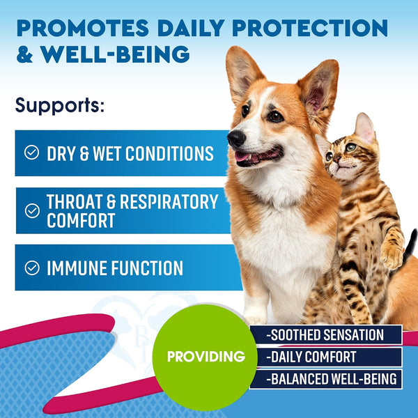 Kennel Cough Treatment & Natural Infection Medicine for Dogs & Cats - Respiratory & Cold Cough Relief - Collapse Trachea & Cat Asthma Support