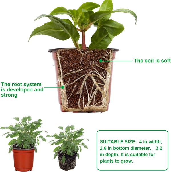 Augshy Nursery Pot, 110 Pcs 4" Plastic Plants Pot,Seed Starting Pots, Indoor Outdoor Seeding pots | Plastic,Drainage Holes,for Garden Flower