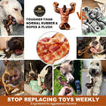 MOXIKIA Heavy Duty Dog Chew Toy for Aggressive Chewers, Medium Large Breed | Durable Bacon Flavored Bone, Tough Nylon, Keep Busy