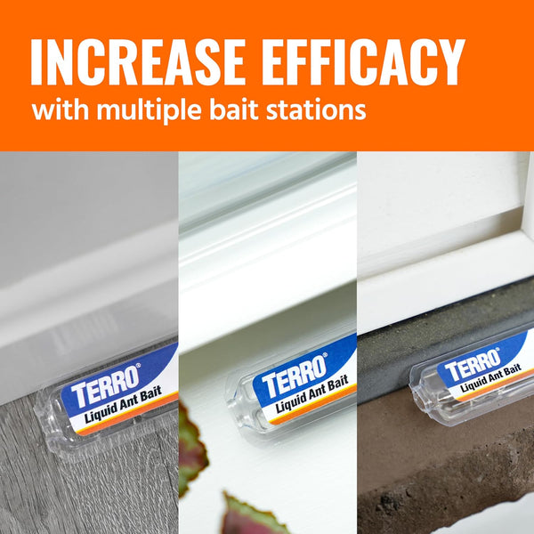 TERRO Liquid Ant Killer Bait Stations, 12-Pack, Indoor Ant Traps, T300B 12 Bait Stations